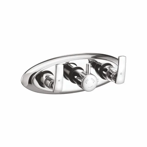 Exposed Parts of Wall Mixer Composite Body (conc.)