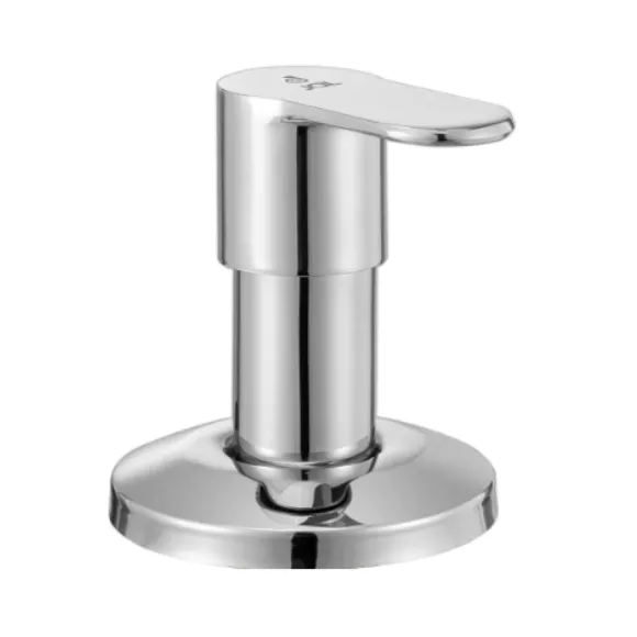 Exposed Parts of Concealed Stop Cock