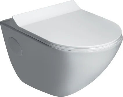 FLEET EWC Wall Hung with Soft Close Seat Cover