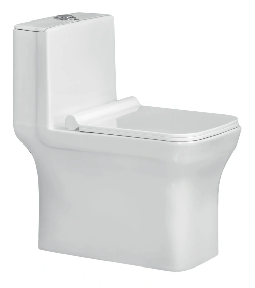 JACKSON EWC with Soft Close Seat Cover & Flushing Kit