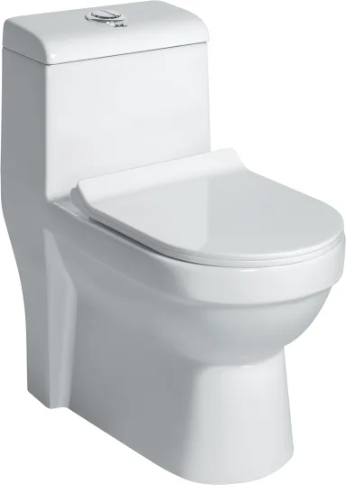 HUDSON EWC with Soft Close Seat Cover & Flushing Kit