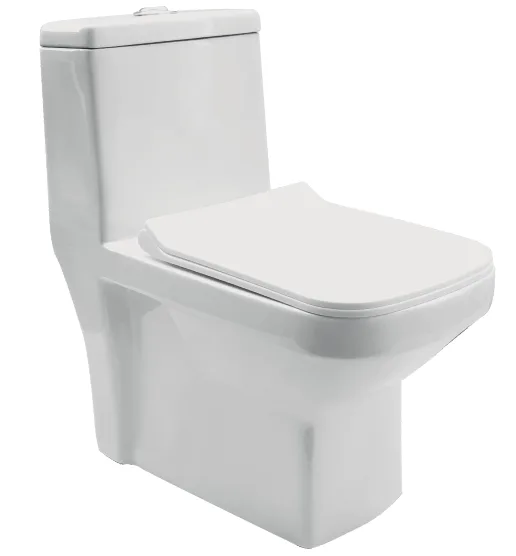 FLNAGA EWC with Soft Close Seat Cover & Flushing Kit