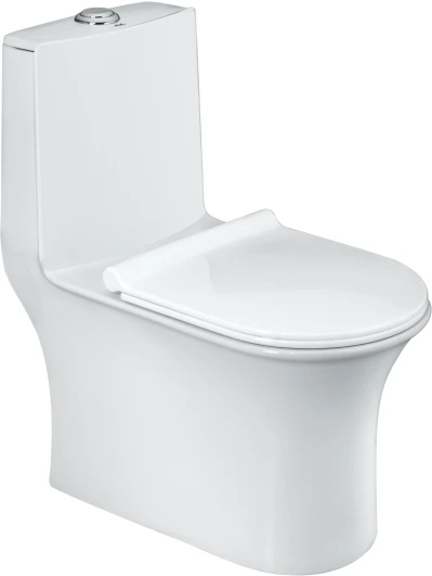 GILA Siphonic EWC with Soft Close Seat Cover & Flushing Kit