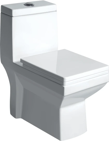 ALLEY EWC with Soft Close Seat Cover & Flushing Kit