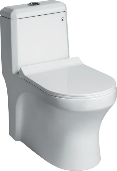 DAVIS EWC with Soft Close Seat Cover & Flushing Kit