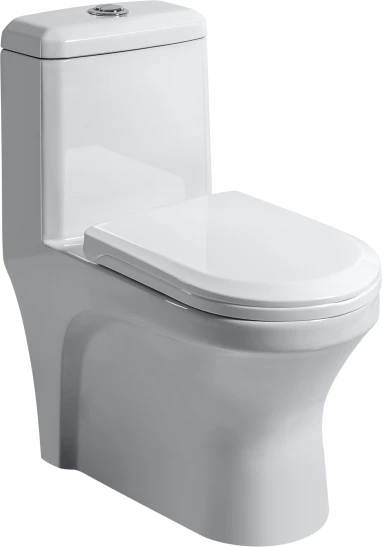 ALDON Siphonic EWC with Soft Close GILA Seat Cover & Flushing Kit