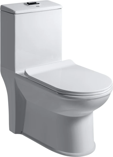 SALWEEN Siphonic EWC with Soft Close Seat Cover & Flushing Kit