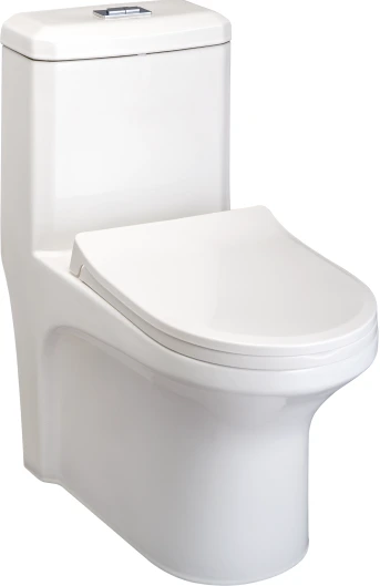 SISSA Siphonic EWC with Soft Close Seat Cover & Flushing Kit