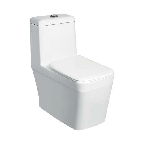 MANJIRA Siphonic EWC with Soft Close Seat Cover & Flushing Kit