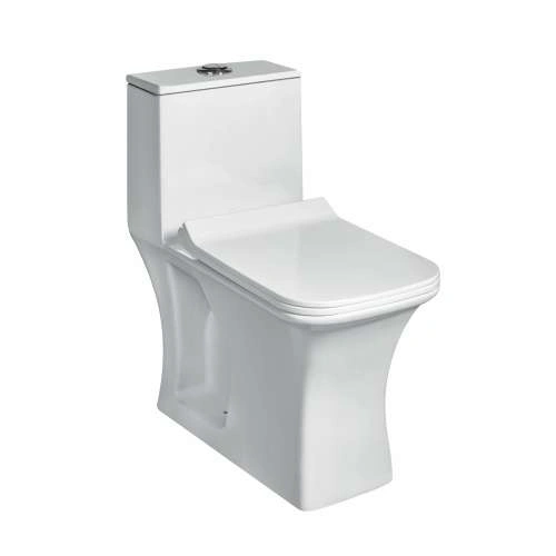 TEESTA EWC with Soft Close Seat Cover & Flushing Kit