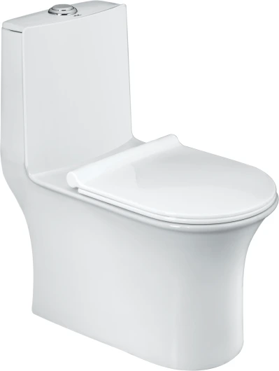 RUZA EWC with Soft Close Seat Cover & Flushing Kit