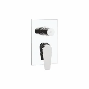Exposed Parts of Single Lever Concealed Divertor Mixer