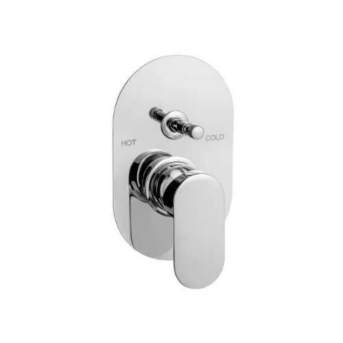 Exposed Parts of Single Lever Concealed Divertor Mixer