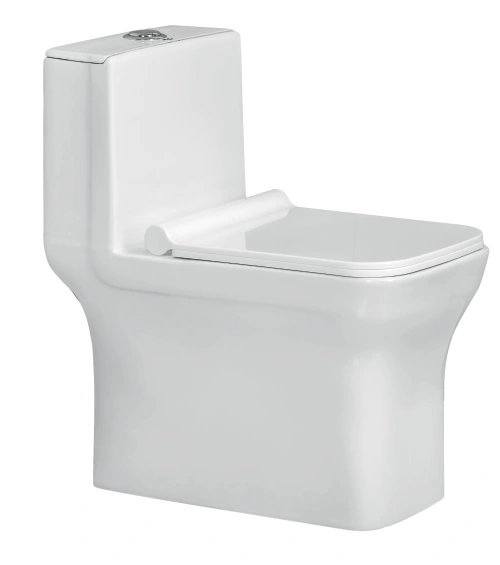 JACKSON EWC with Inbuilt Jet & Soft Close Seat Cover & Flushing Kit