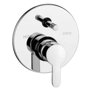 Exposed Parts of Single Lever Concealed Divertor Mixer Push Type