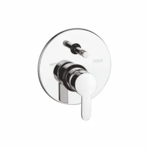 Exposed Parts of Single Lever Concealed Divertor Mixer Push Type