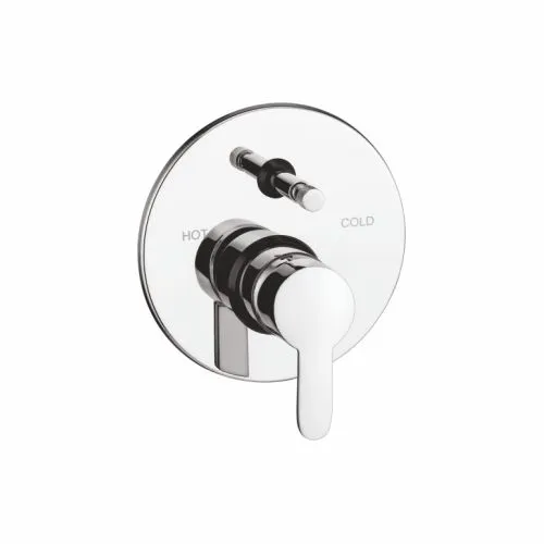 Exposed Parts of Single Lever Concealed Divertor Mixer Push Type