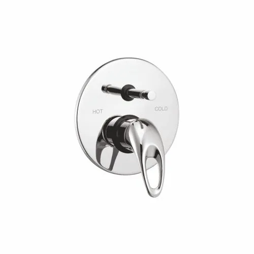 Exposed Parts of Single Lever Concealed Divertor Mixer Push Type
