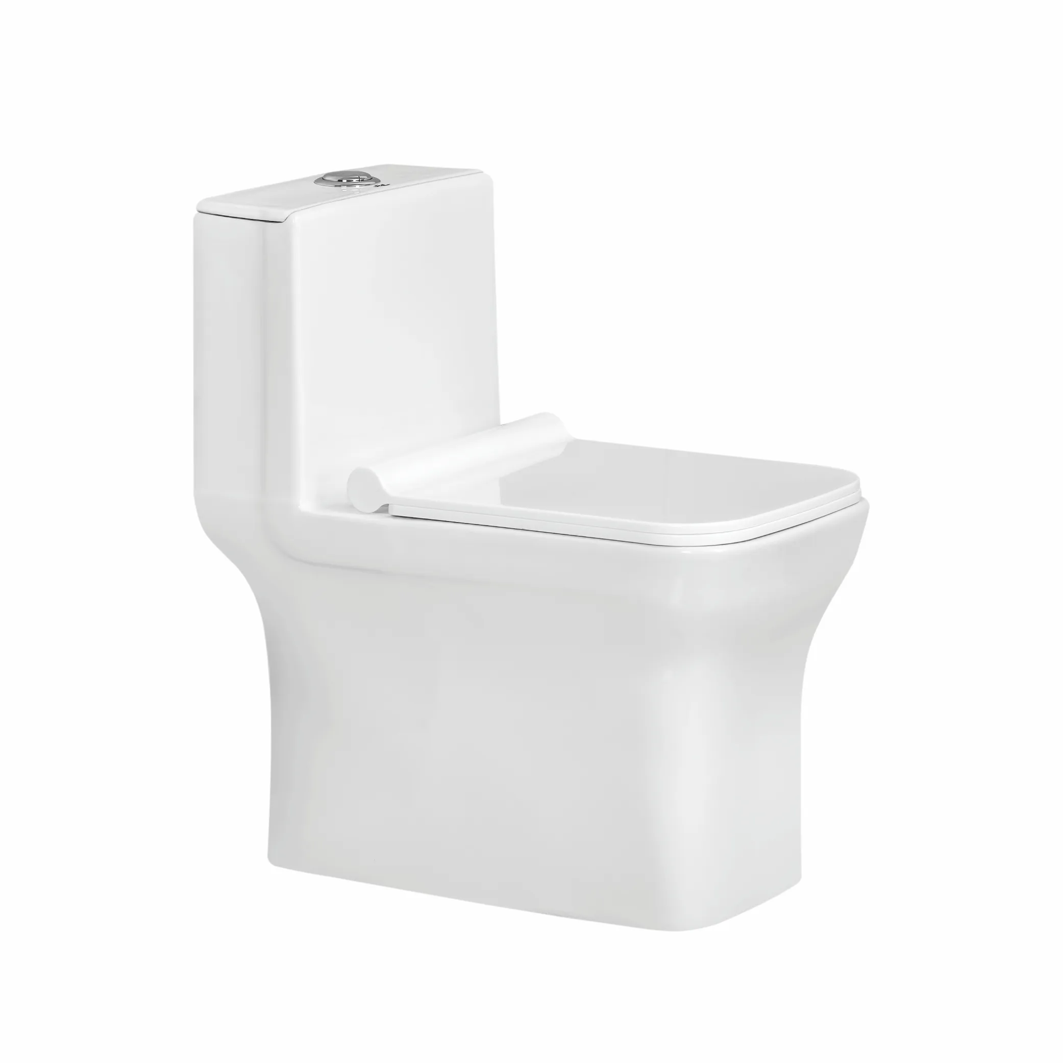 JACKSON EWC with QQ Soft Close Seat Cover & Flushing Kit