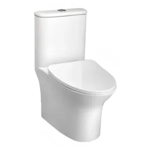 SOLO Siphonic EWC with Soft Close Seat Cover & Flushing Kit