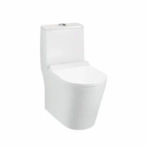 TAMSA EWC with QQ Soft Close Seat Cover & Flushing Kit