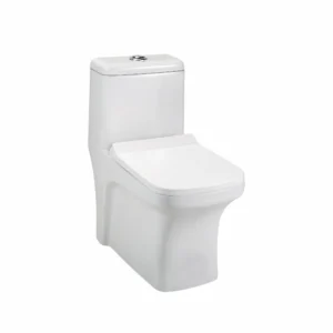 MAND EWC with Soft Close Seat Cover & Flushing Kit