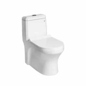DAVIS EWC with Soft Close Seat Cover & Flushing Kit