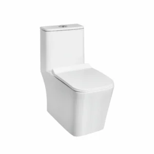 SIANG EWC with QQ Soft Close Seat Cover & Flushing Kit