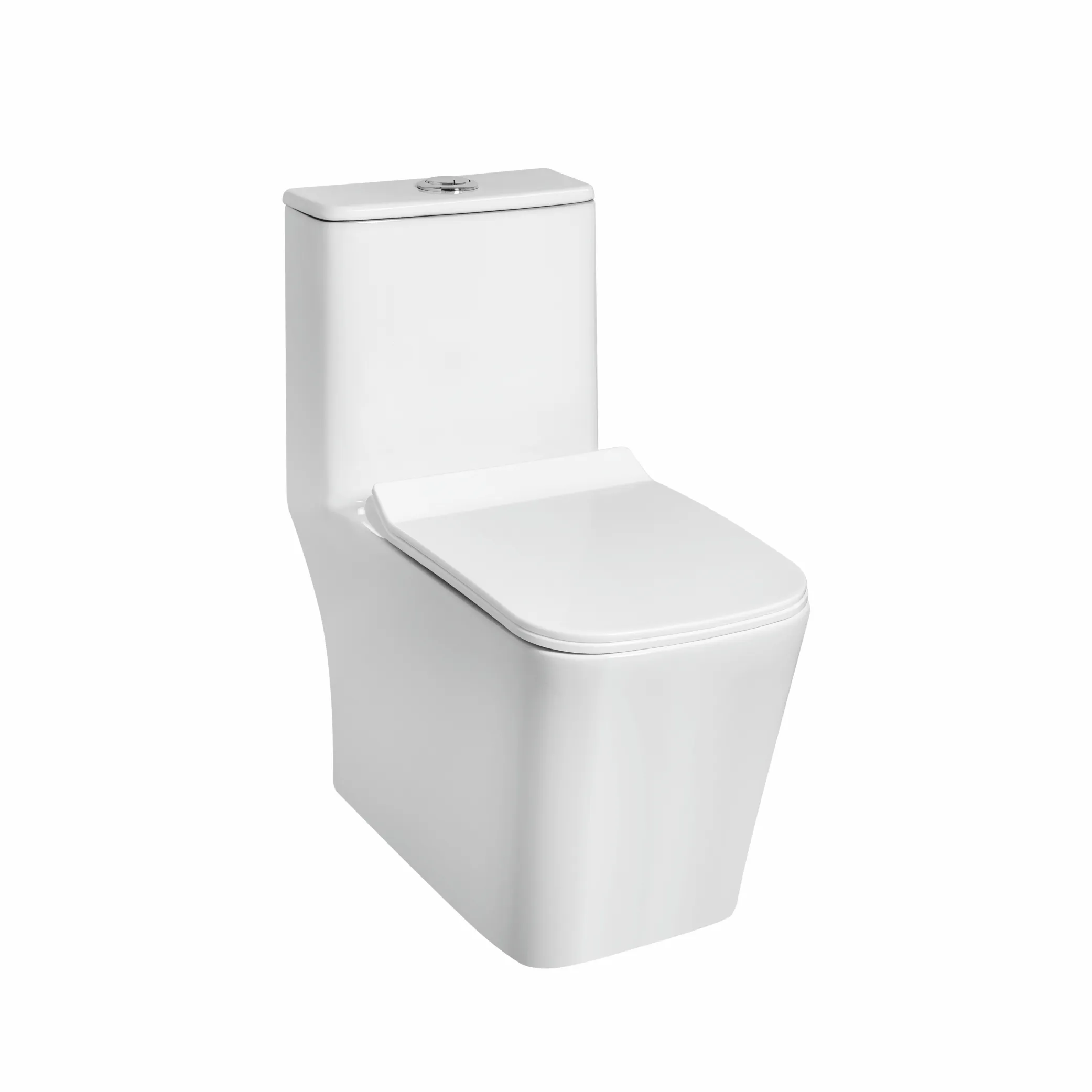 SIANG EWC with QQ Soft Close Seat Cover & Flushing Kit